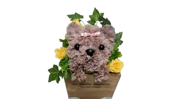 フラワーペット【ヨークシャテリア】カーネーション 犬 プリザーブドフラワー 花 母の日 誕生日 お供え フラワーペット 5枚目の画像