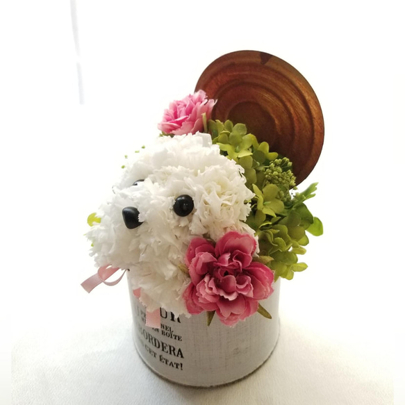 花の犬【白】プリザーブドフラワー 犬 花 ペット  カーネーション 誕生日  母の日 お供え 犬好き フラワーギフト 4枚目の画像