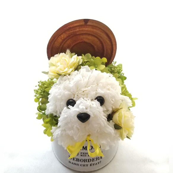 カーネーションの犬【白】プリザーブドフラワー 犬 花 ペット 誕生日  母の日 お供え 犬好き フラワーギフト 7枚目の画像