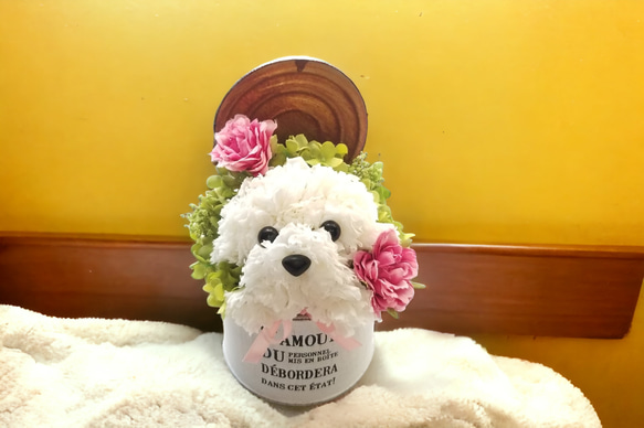 花の犬【白】プリザーブドフラワー 犬 花 ペット  カーネーション 誕生日  母の日 お供え 犬好き フラワーギフト 6枚目の画像