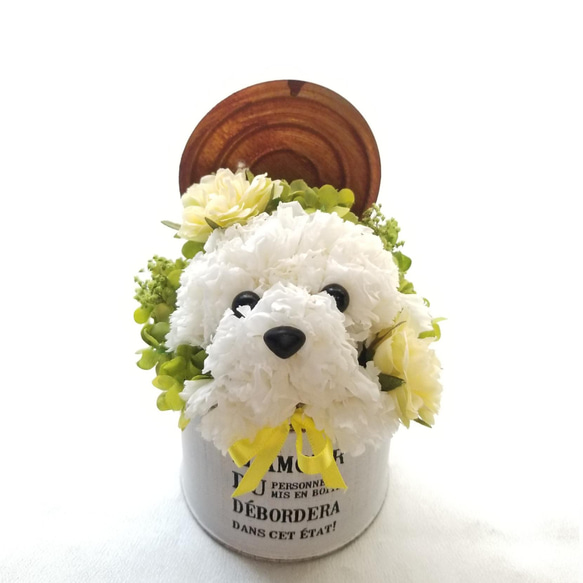 カーネーションの犬【白】プリザーブドフラワー 犬 花 ペット 誕生日  母の日 お供え 犬好き フラワーギフト 2枚目の画像