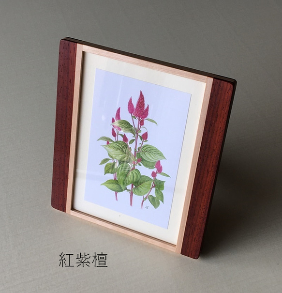 木のフォトフレーム・写真立て　無垢材の手作り　3種（欅・ｹﾔｷ、楓・ｶｴﾃﾞ、紅紫檀） 8枚目の画像