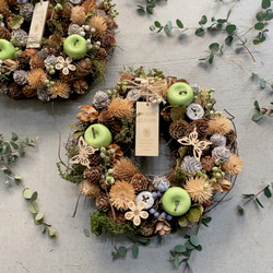 森の中のクリスマスリース プリザーブドフラワー K-FLEUR 通販