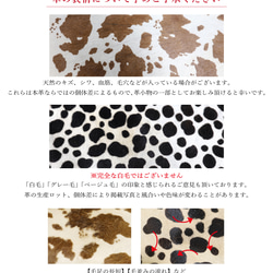 [毛怪咪咪/全11種顏色]想要向某人展示的迷你錢包/採用奢華意大利皮革製成的輕薄迷你錢包 第12張的照片