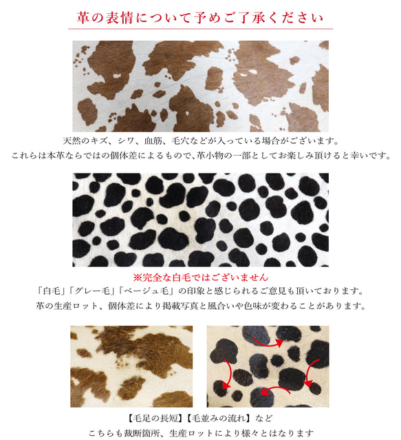 [毛怪咪咪/全11種顏色]想要向某人展示的迷你錢包/採用奢華意大利皮革製成的輕薄迷你錢包 第12張的照片