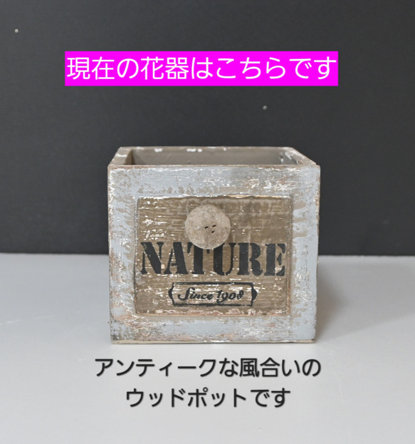 フラワーペット【パグ】プリザーブドフラワー カーネーション 犬 花 ペット 母の日 誕生日 お供え フラワー プレゼント 3枚目の画像