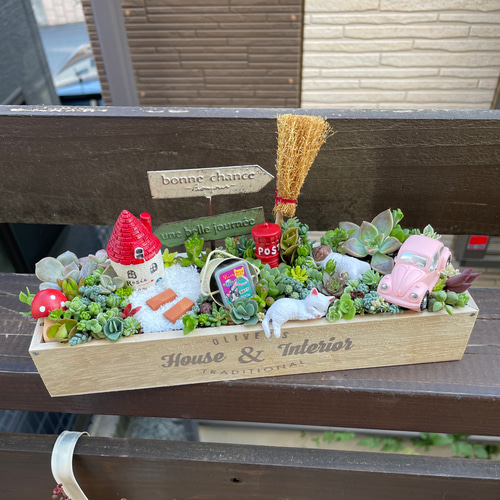 受注制作 ギフトにも にゃんこガーデン箱庭風〜多肉植物寄せ植え