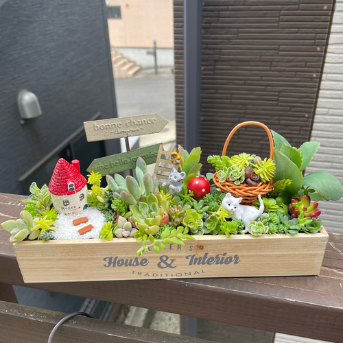 受注制作 ギフトにも にゃんこガーデン箱庭風〜多肉植物寄せ植え