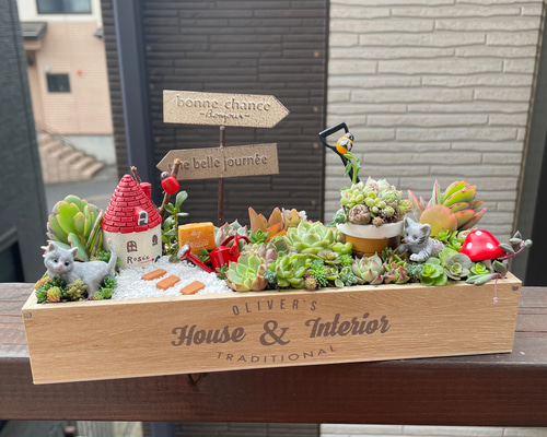 受注制作 ギフトにも にゃんこガーデン箱庭風〜多肉植物寄せ植え