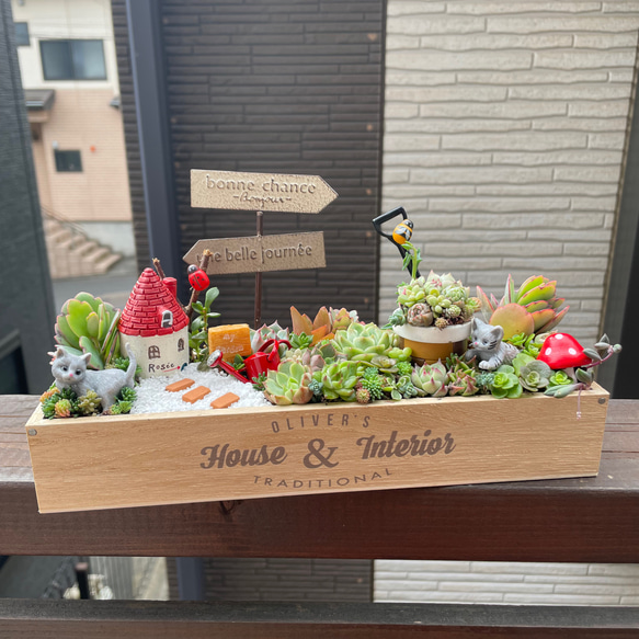 受注制作 母の日ギフトにも にゃんこガーデン箱庭風〜多肉植物 受注制作 母の日ギフトにも にゃんこガーデン箱庭風〜多肉植物