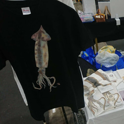 送料無料☆(M～ＸＬ)生イカさんTシャツ☆新作の黒！海と釣りといかが大好きなあなたに！日本画リアルな写生の烏賊Ｔシャツ☆ 3枚目の画像