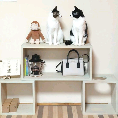 DIYユニットボックス（A） ねこ穴対応 ねこ家具 キャットタワー フリー