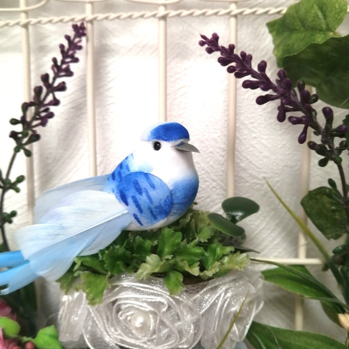 受注 ﾌﾟﾘｻﾞｰﾌﾞﾄﾞの鳥かご 青い鳥 壁掛け インテリア 開店 新築