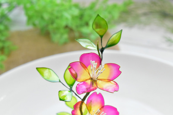 【植物標本 S】野茨(のいばら)  Japanese rose 3枚目の画像