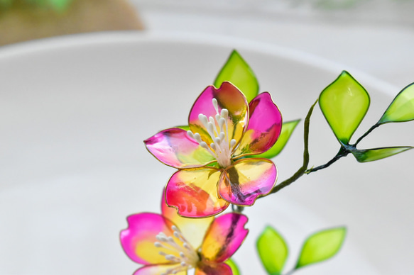 【植物標本 S】野茨(のいばら)  Japanese rose 8枚目の画像