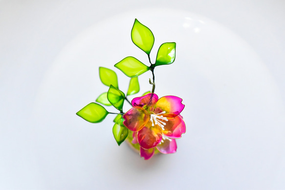 【植物標本 S】野茨(のいばら)  Japanese rose 9枚目の画像