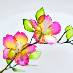 【植物標本 S】野茨(のいばら)  Japanese rose 7枚目の画像