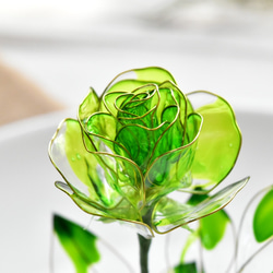 【植物標本 S】薔薇(ばら) -Apple green- 8枚目の画像