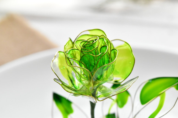 【植物標本 S】薔薇(ばら) -Apple green- 8枚目の画像