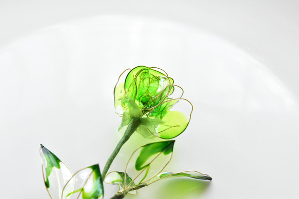 【植物標本 S】薔薇(ばら) -Apple green- 9枚目の画像