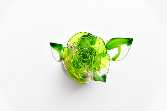 【植物標本 S】薔薇(ばら) -Apple green- 2枚目の画像