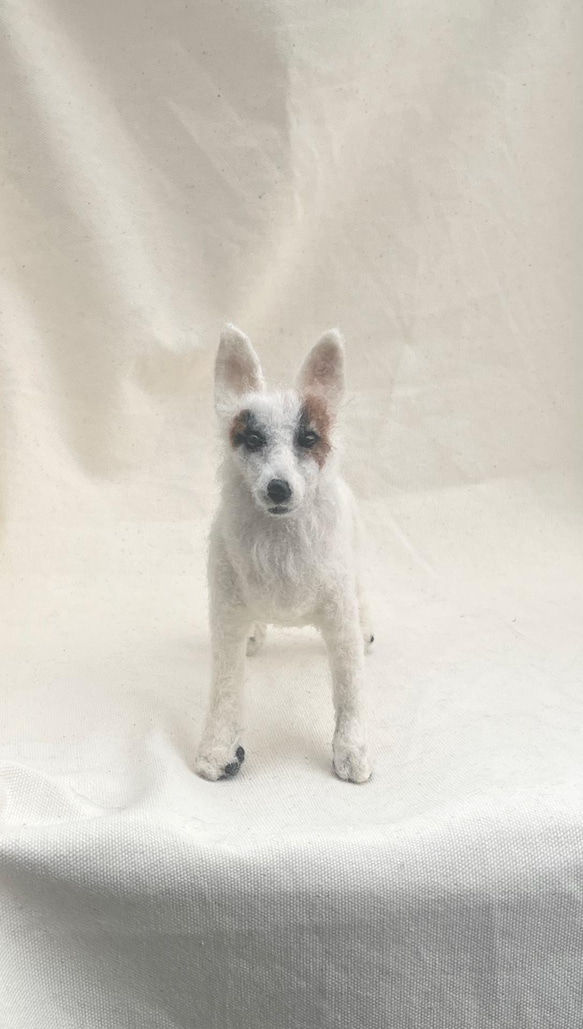 羊毛フェルト　ホワイトテリア 羊毛フェルト犬 ＜ウエスト・ハイランド・ホワイト・テリア＞ 羊毛