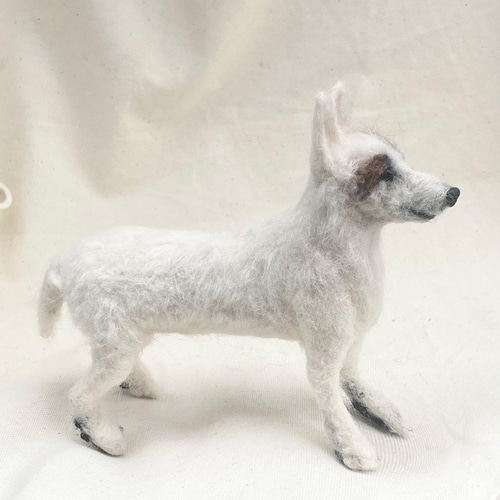 世界でたったひとつ♡うちの子をずっとそばに♡ジャックラッセルテリア