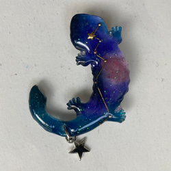 オオサンショウウオの星座のブローチ とかげ座 2枚目の画像