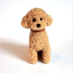羊毛フェルト オーダー 「リアルで可愛いワンちゃん」ゴールデンレトリバー 犬 羊毛フェルト オーダー 「リアルで可愛いワンちゃん」ゴールデン