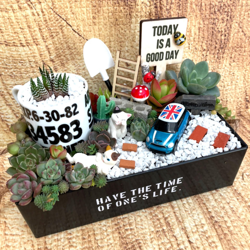 プレゼントにも〜受注制作ブリキ缶にゃんこ箱庭風多肉植物寄せ植え