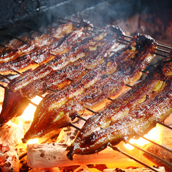 ◎炭焼きうな勢のうなぎしぐれ煮３本入りギフト 4枚目の画像