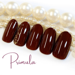 ネイルチップ べっ甲2/ミラーネイル/ニュアンス/上品/成人式/卒業式