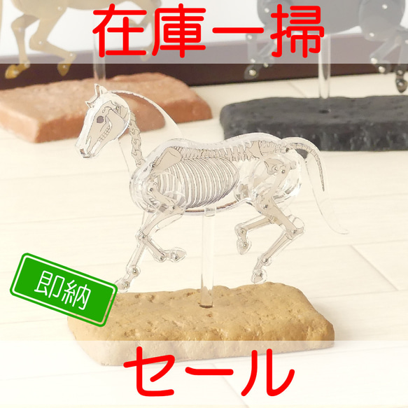 ロボホース　関節可動 ホネ君【旧仕様在庫一掃セール】 1枚目の画像