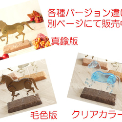 ロボホース　関節可動 ホネ君【旧仕様在庫一掃セール】 5枚目の画像