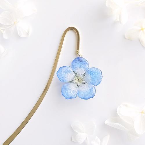 生花】Baby blue eyes. 本物のお花 ネモフィラのドライフラワーの