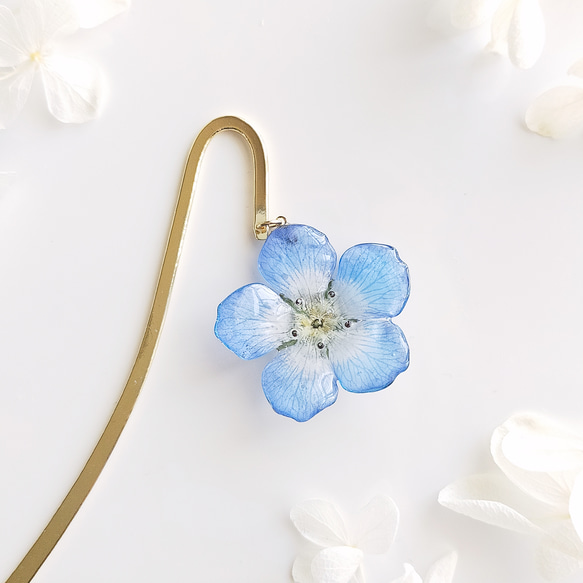 生花】Baby blue eyes. 本物のお花 ネモフィラのドライフラワーの