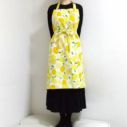 レモン  色・サイズ・タイプが選べる　大人用エプロン　 6枚目の画像