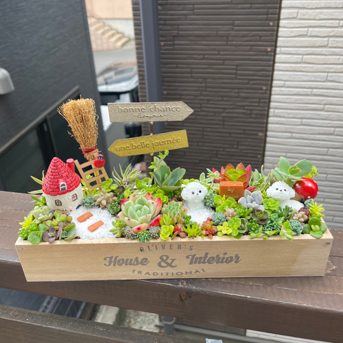 ❤️多肉植物❤️そのまま飾れる寄せ植え❤️ねこちゃんHouse~❤️ ❤️専用❤️多肉植物❤️そのまま飾れる寄せ植え❤️ねこちゃん