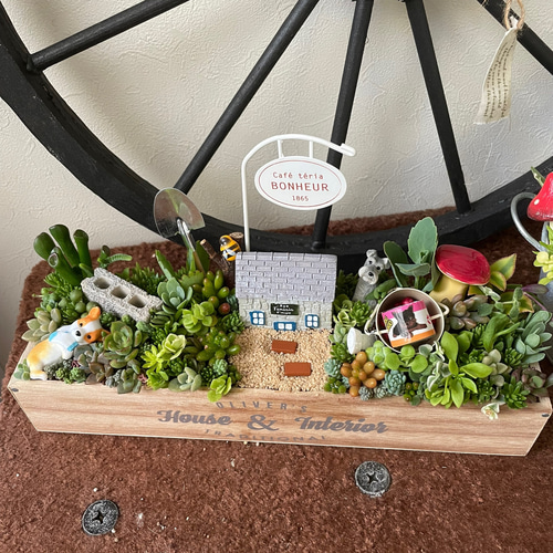 受注制作 ガーデン箱庭風多肉植物寄せ植え 多肉植物 まぁちゃん 通販