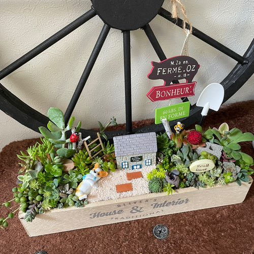 受注制作 ガーデン箱庭風多肉植物寄せ植え 多肉植物 まぁちゃん 受注制作 ガーデン箱庭風多肉植物寄せ植え 多肉植物 まぁちゃん