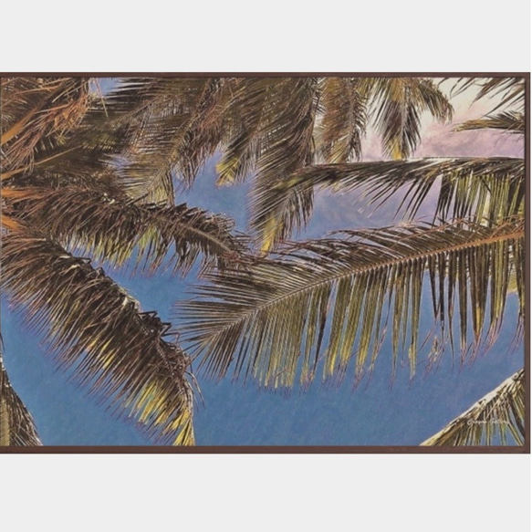 【送料無料】南国の風景☆Palm tree  No.687  フレーム付  A4サイズ 2枚目の画像