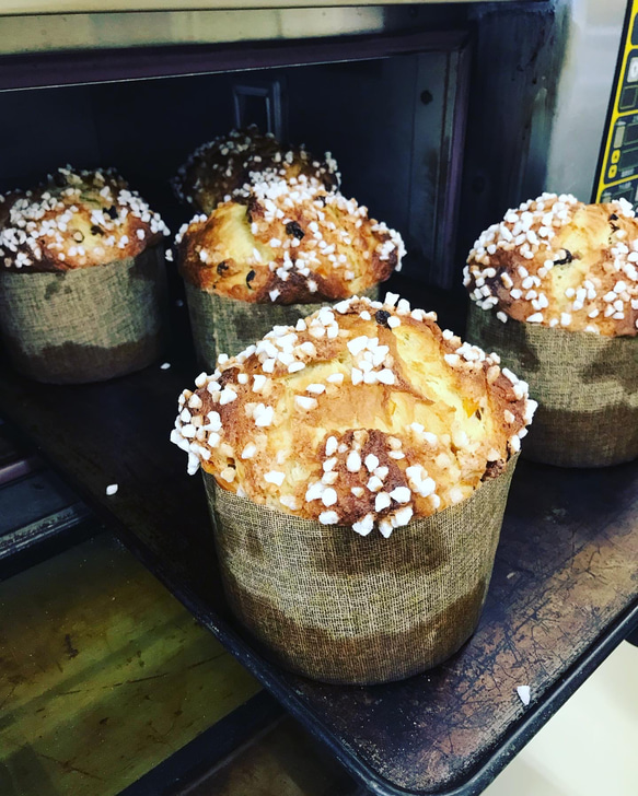 ギフトにオススメ！しっとりケーキのようなイタリア発酵菓子『パネトーネ』 1枚目の画像