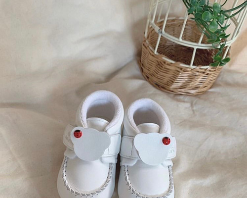 d1fbc1ede203624f1d31d83c5c39de