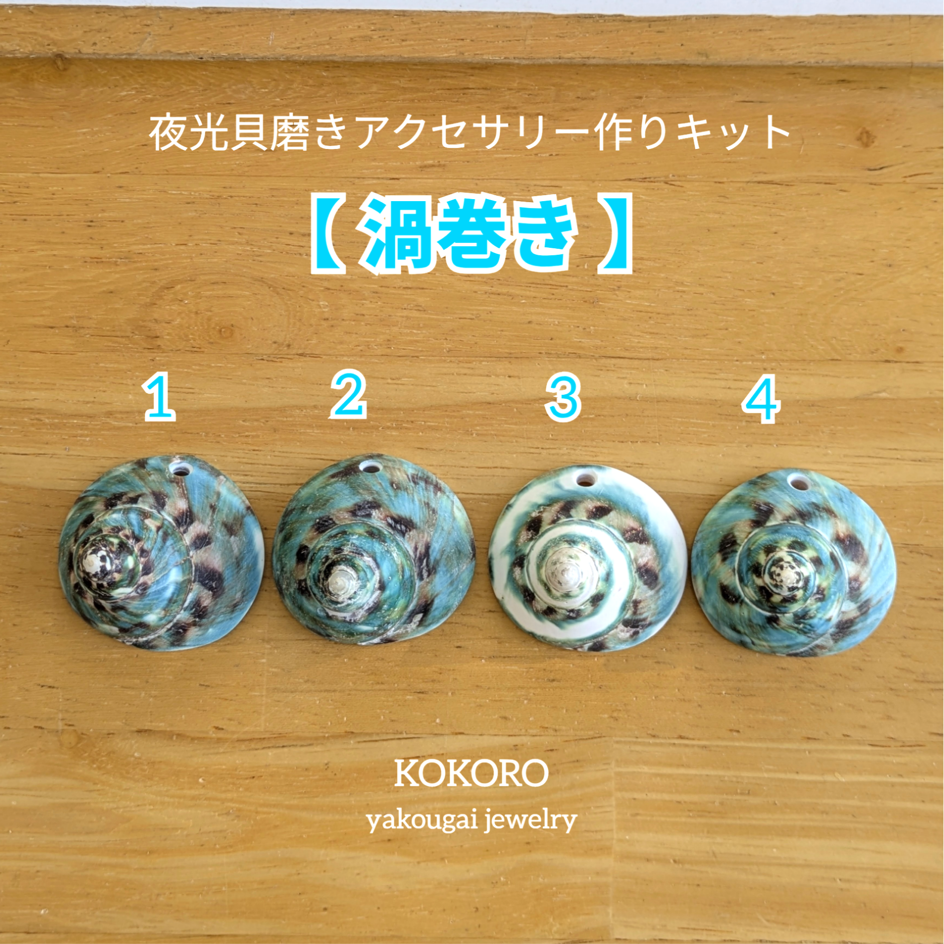 夜光貝　ヤコウ貝　まとめ売り　14個　12、0kg アクセサリー　ルアー 夜光貝 ヤコウ貝 まとめ売り 19個 16kg アクセサリー ルアー