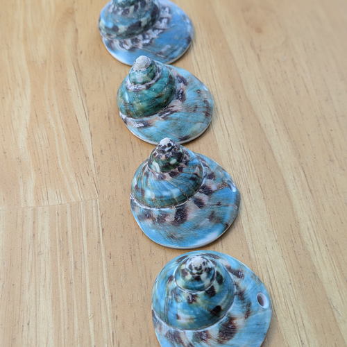 夜光貝磨きアクセサリー作りキット ✳【 渦巻き 】 キット 夜光貝