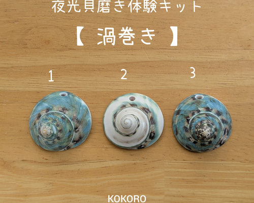 法螺貝　トウカムリ　夜光貝　まとめて　8点セット 夜光貝磨きアクセサリー作りキット ✳【 渦巻き 】 キット 夜光貝