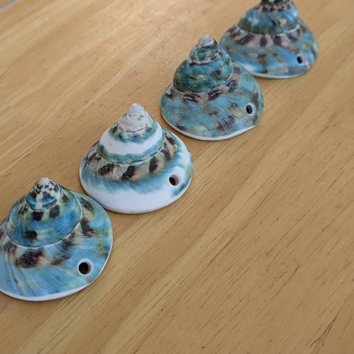 夜光貝磨きアクセサリー作りキット ✳【 渦巻き 】 キット 夜光貝