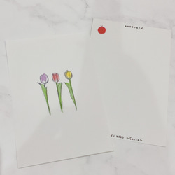 【チューリップ】3枚　ポストカード　はがき　かわいい　お花　韓国風　デザイン　おしゃれ　インテリア　紙もの　アート　 3枚目の画像