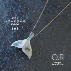 夜光貝 ホエールテール 《M》ネックレス ネックレス・ペンダント O.R