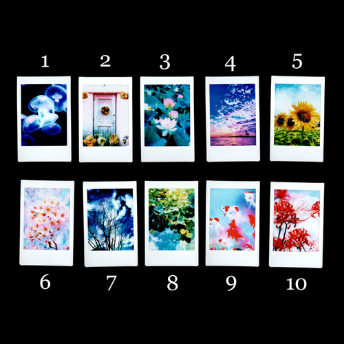 REJECT チェキ3枚とステッカーセット Amazon.co.jp: SnowMan RAYS目黒蓮 チェキ風カード ステッカー